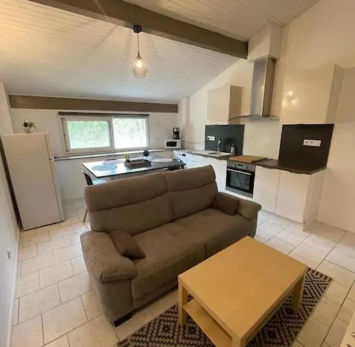 T2 Au Vernet D'ariege Avec Jardin Privatif Апартаменты *